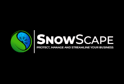 Snowscape
