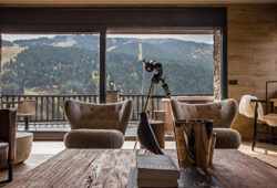 Ski Chalet Alpine Residence